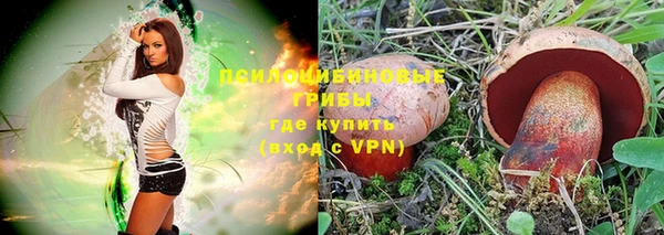 бошки Бородино