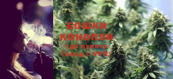 бошки Бородино