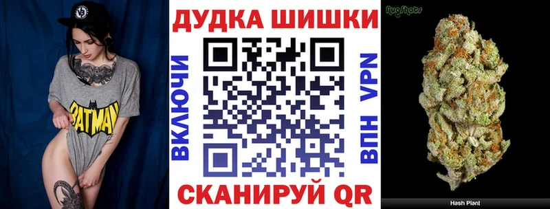 сколько стоит Грозный MEGA онион Бошки марихуана ГИДРОПОН
